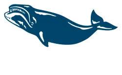 Bowhead