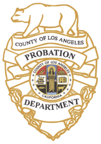 LA County Probation Department, HR Division