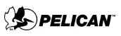 Pelican