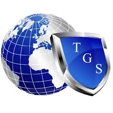 Triton Global Services