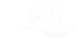 City of Vallejo